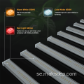 Hydroponic 600W LED -odlingsljus